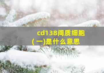 cd138间质细胞( 一)是什么意思